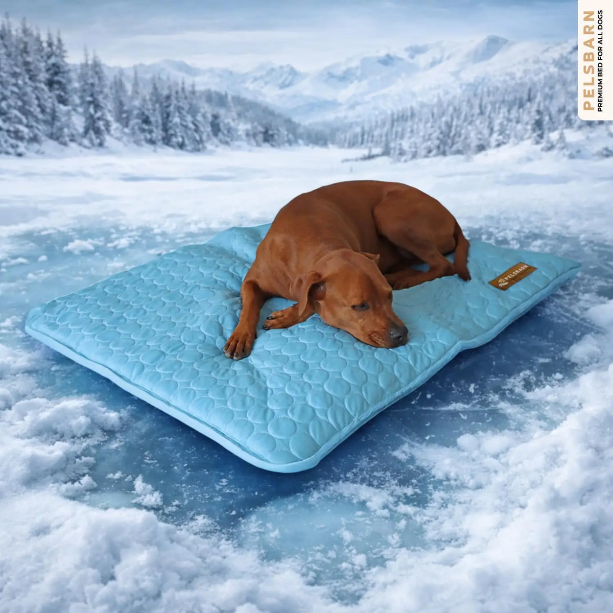 Pelsbarn Self Cooling Ice Silk Dog Mat Washable Bed Pad