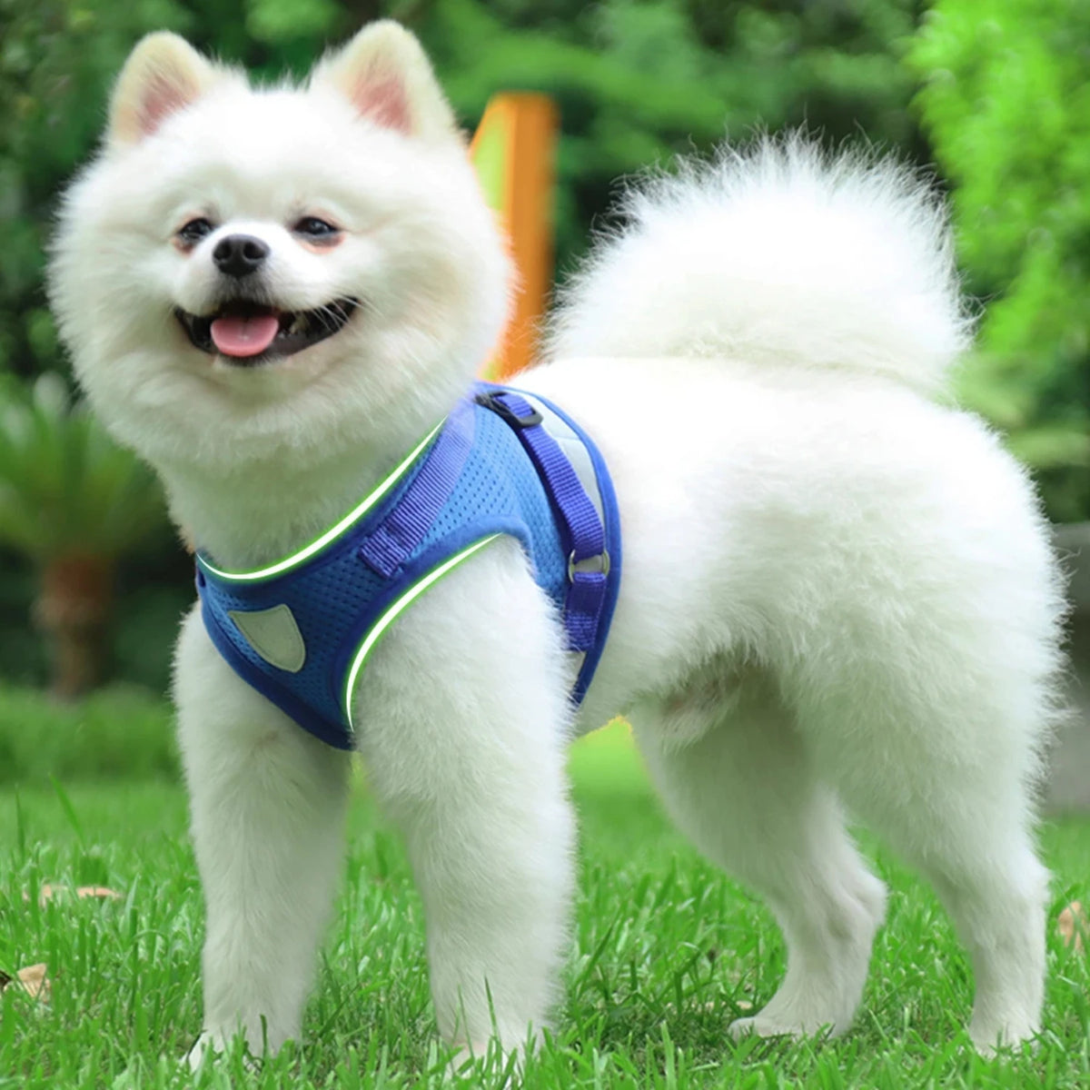 Reflective Adjustable Mesh Dog And Cat Harness Vest With Leash