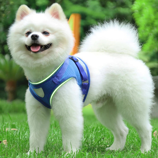 Reflective Adjustable Mesh Dog And Cat Harness Vest With Leash