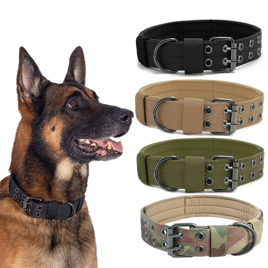Durable Nylon Tactical Dog Collar for Training and Outdoor Walks