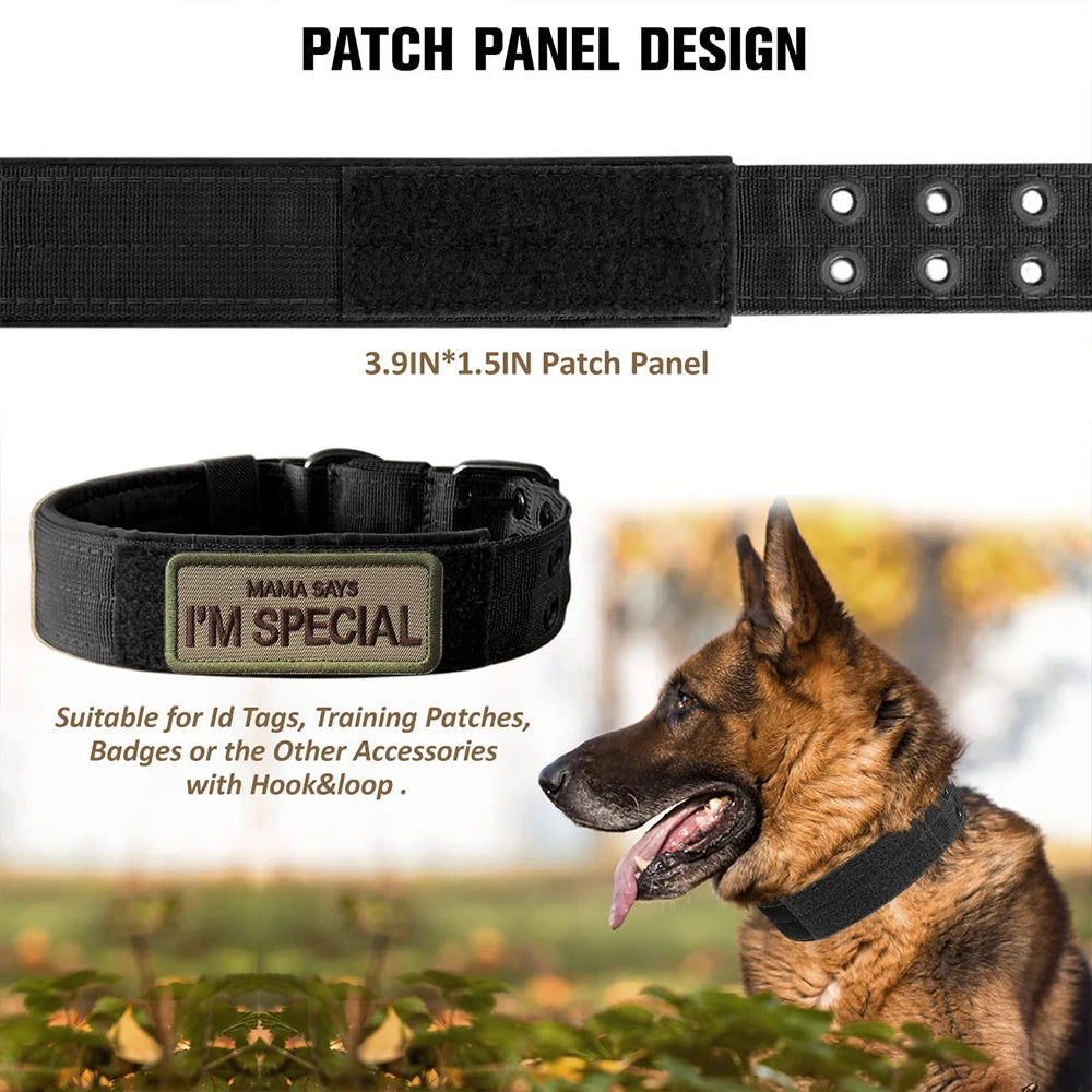 Durable Nylon Tactical Dog Collar for Training and Outdoor Walks