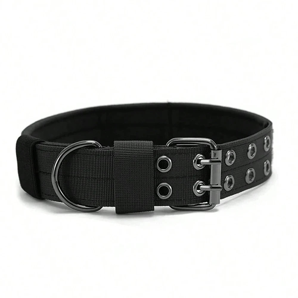 Durable Nylon Tactical Dog Collar for Training and Outdoor Walks