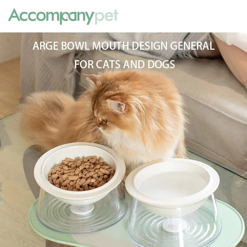Tilted Raised Cat Bowl Featuring Non Slip Anti Tip Base