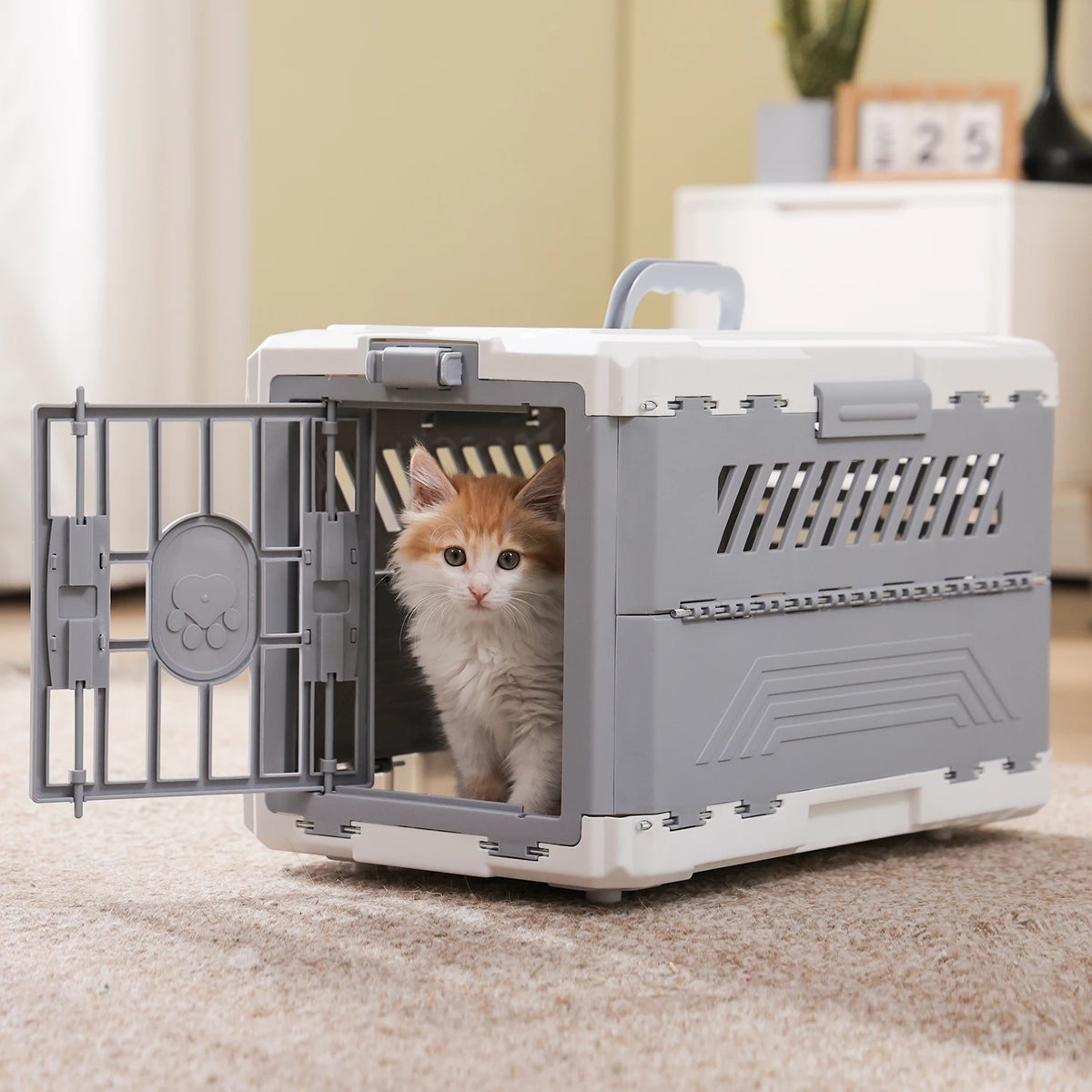PAWZ Road Foldable Pet Carrier Travel Crate With Secure Lock Door