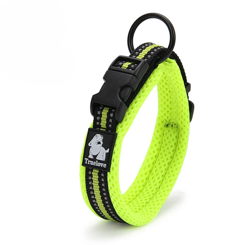 Winhyepet Comfort Padded Nylon Dog Walking Collar With Buckle