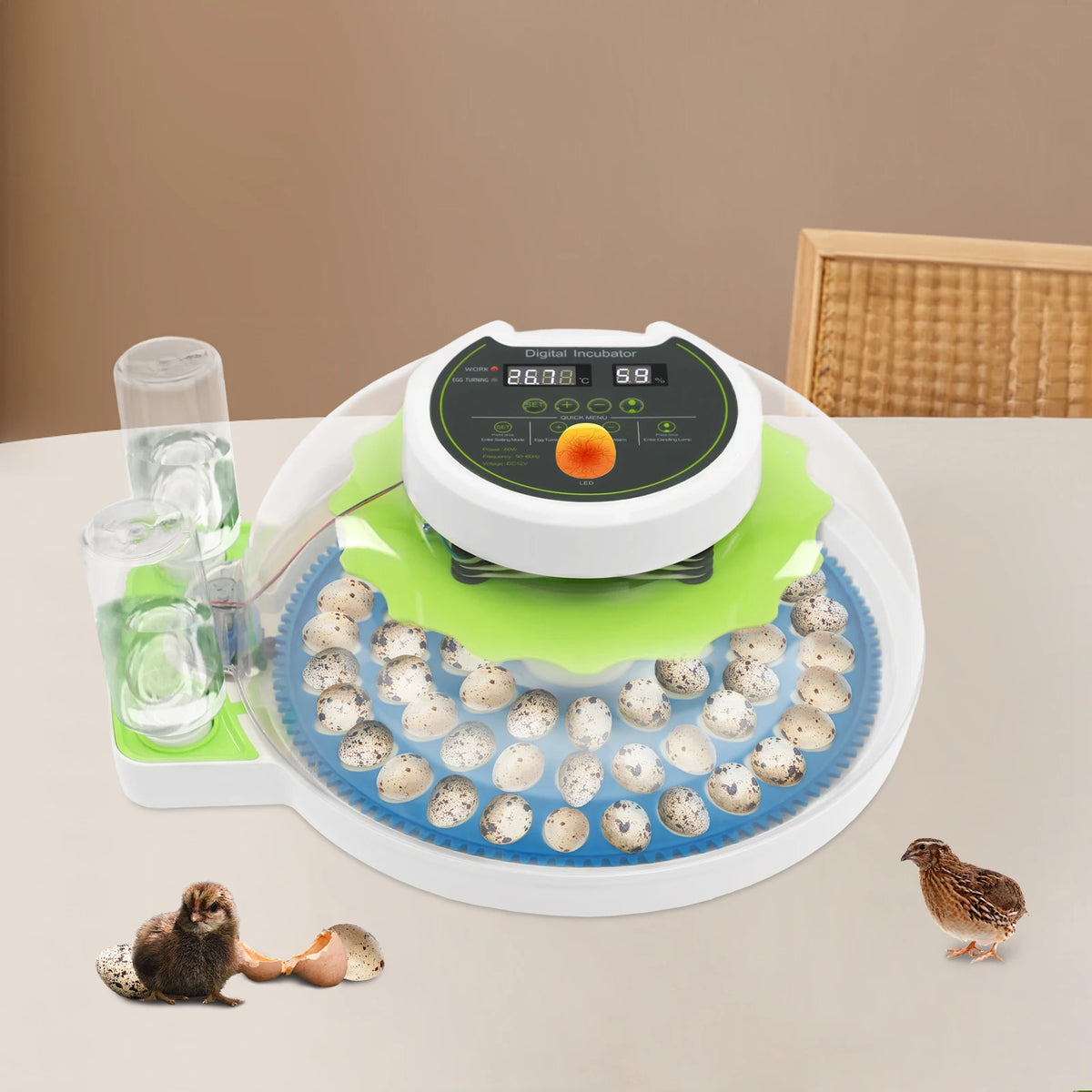 Automatic Egg Incubator With Temperature Humidity Control And Egg Turner