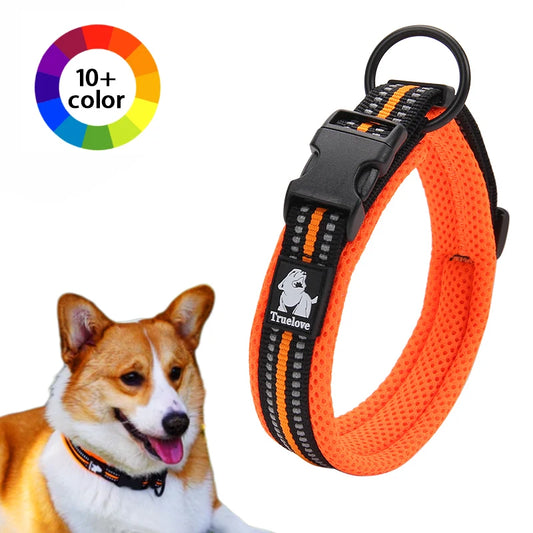 Winhyepet Comfort Padded Nylon Dog Walking Collar With Buckle