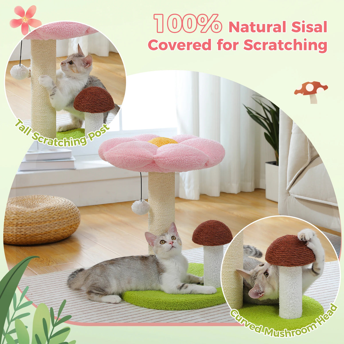 PAWZ Road Cat Scratching Post With Flower Bed And Toy Ball