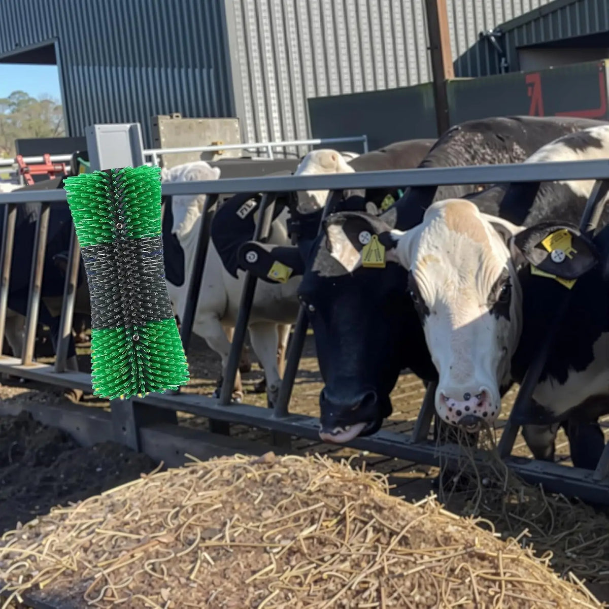 Livestock Grooming Brush for Horses Cows Goats Sheep and Pigs