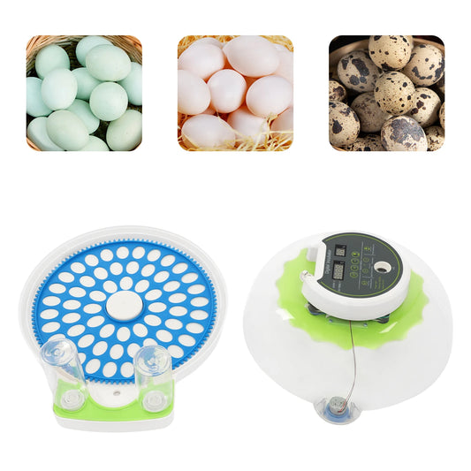 Automatic Egg Incubator With Temperature Humidity Control And Egg Turner