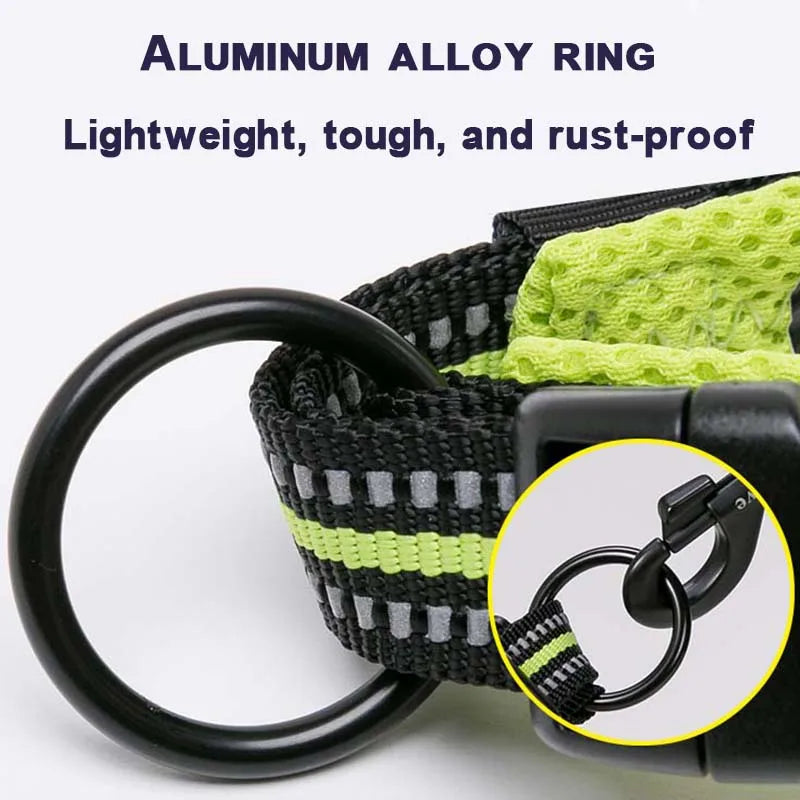 Winhyepet Comfort Padded Nylon Dog Walking Collar With Buckle
