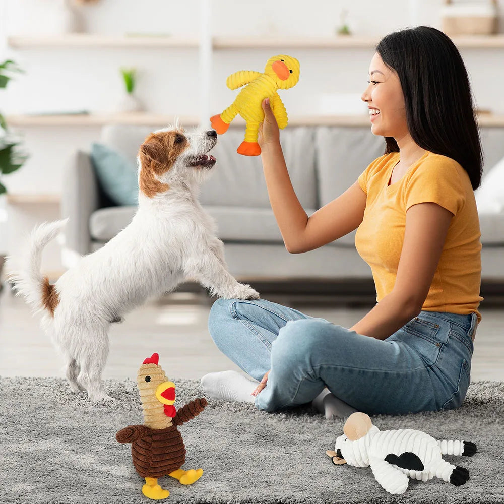 Plush Squeaky Dog Toys, Soft Stuffed Chewable Pet Toy Bundle