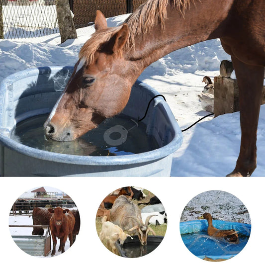Thermostatic Submersible Bird Bath Heater De-Icer for Livestock Water