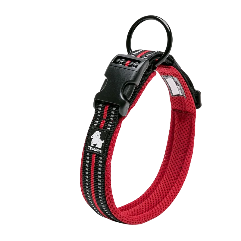 Winhyepet Comfort Padded Nylon Dog Walking Collar With Buckle