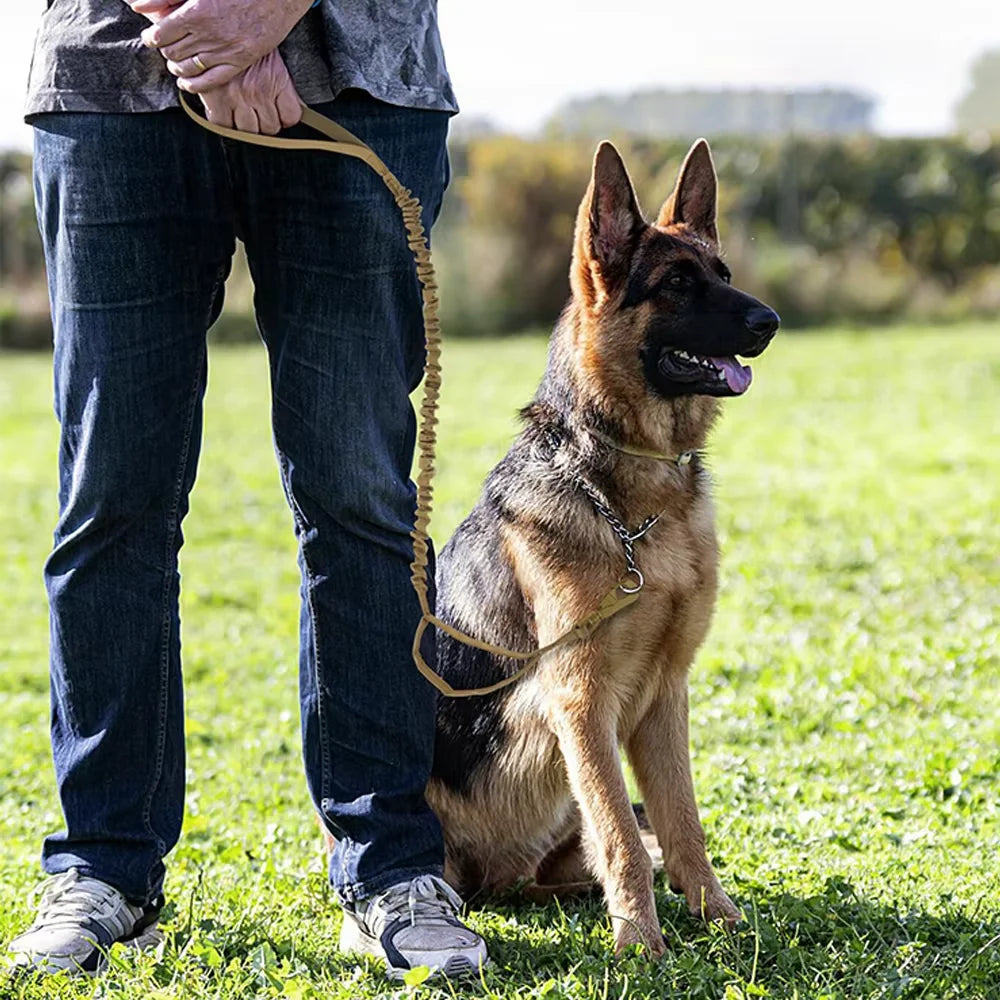 PETRAVEL Adjustable Dog Leash With Dual Handles Quick Release