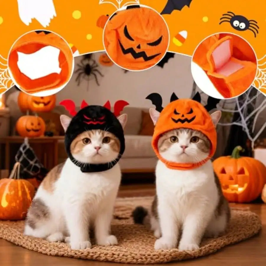 Halloween Pet Costume Set With Pumpkin, Bat And Festive Scarves