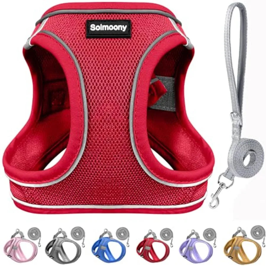 Sparkly Step In Dog Harness And Leash Set Reflective Vest