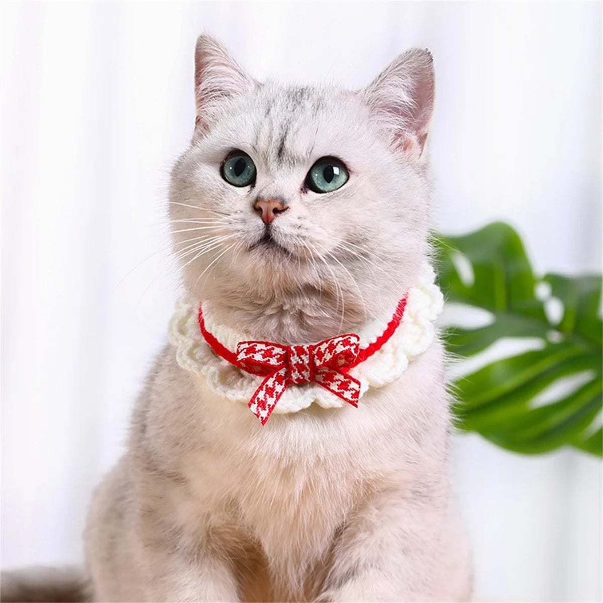 Hand Knitted Bow Knot Lace Pet Collar And Towel Set