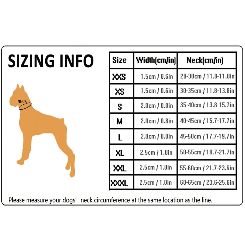 Winhyepet Comfort Padded Nylon Dog Walking Collar With Buckle