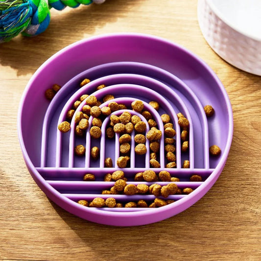Silicone Slow Feeder Bowl for Pets Promotes Healthier Mealtimes
