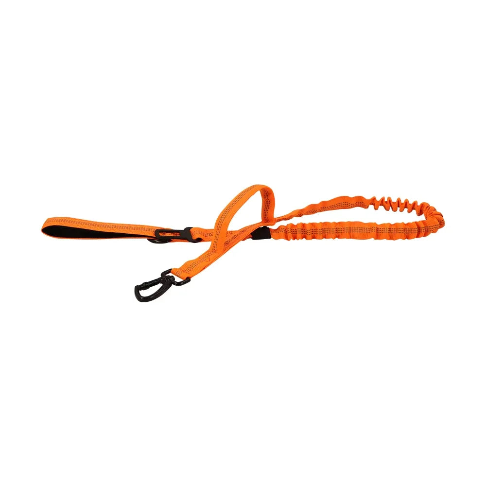 PETRAVEL Adjustable Dog Leash With Dual Handles Quick Release
